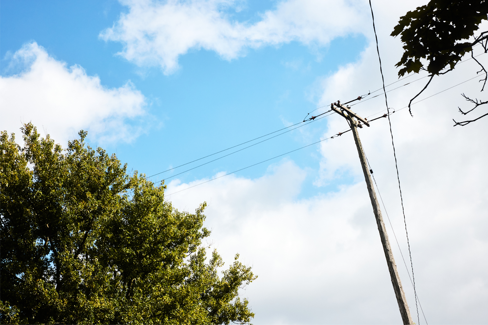 Picturesque skies and green trees are the remnants of Flint's east side's summer season on Sept. 28. 2024. (Bryce Mata | Flintside.com)