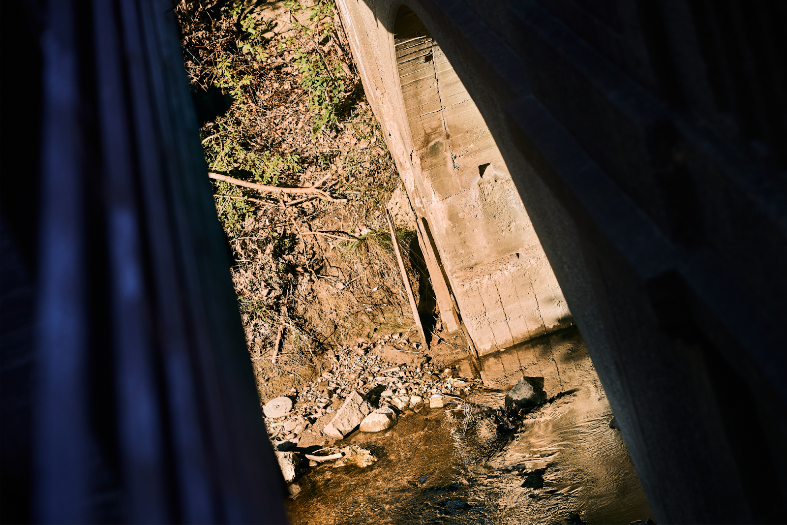 Pictured on Sept. 28, 2024, Flint's east side has numerous waterways and lakes. (Bryce Mata | Flintside.com)