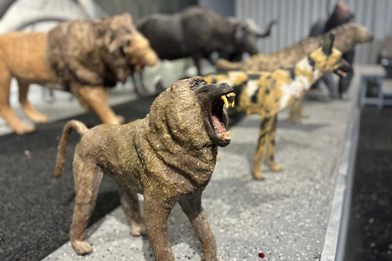 Impressively molded with aluminum foil stand pieces from their safari display on Aug. 8, 2024. (Jerimiah Whitehead | Flintside.com)