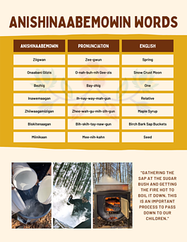 A sample page from the 13 Moons curriculum.