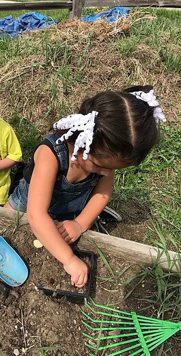 A photo submitted by a PhotoVoice project participant.