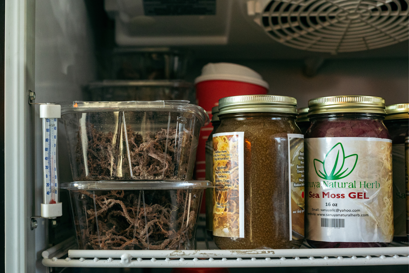 Sanuya's Natural Herb Sea Moss gel and natural sea moss refrigerated inside BAMS African Market, photographed on Dec. 20, 2023. (Anthony Summers | Flintside.com)