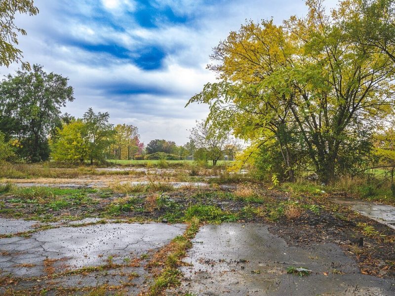 4401 Rosa Parks Blvd., Detroit, site of a future mixed-use building featuring affordable housing.