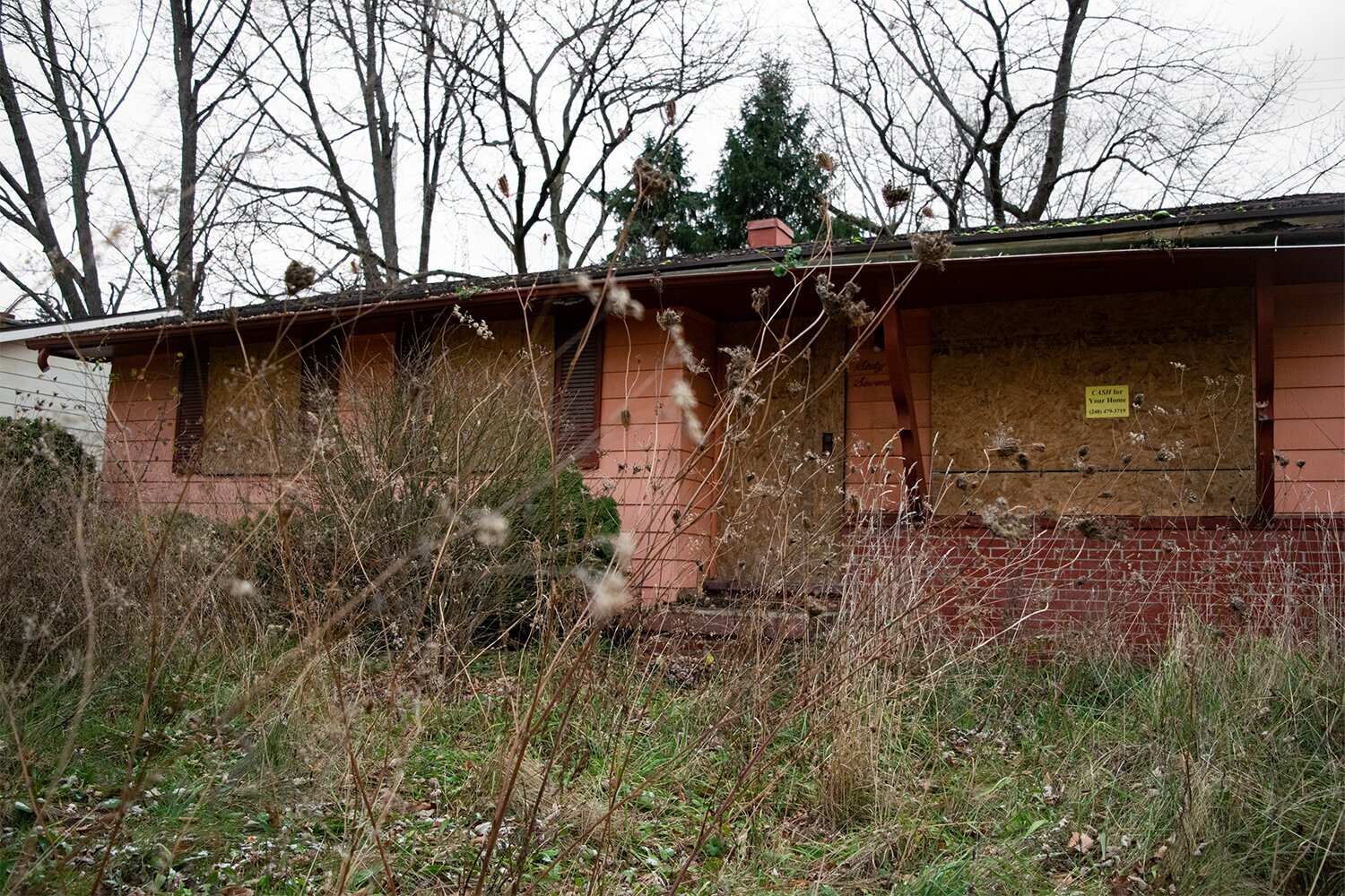 An abandoned home sits on Fleming Rd. in Flint, surrounded by overgrown grass. (Photo credit: Santiago Ochoa)