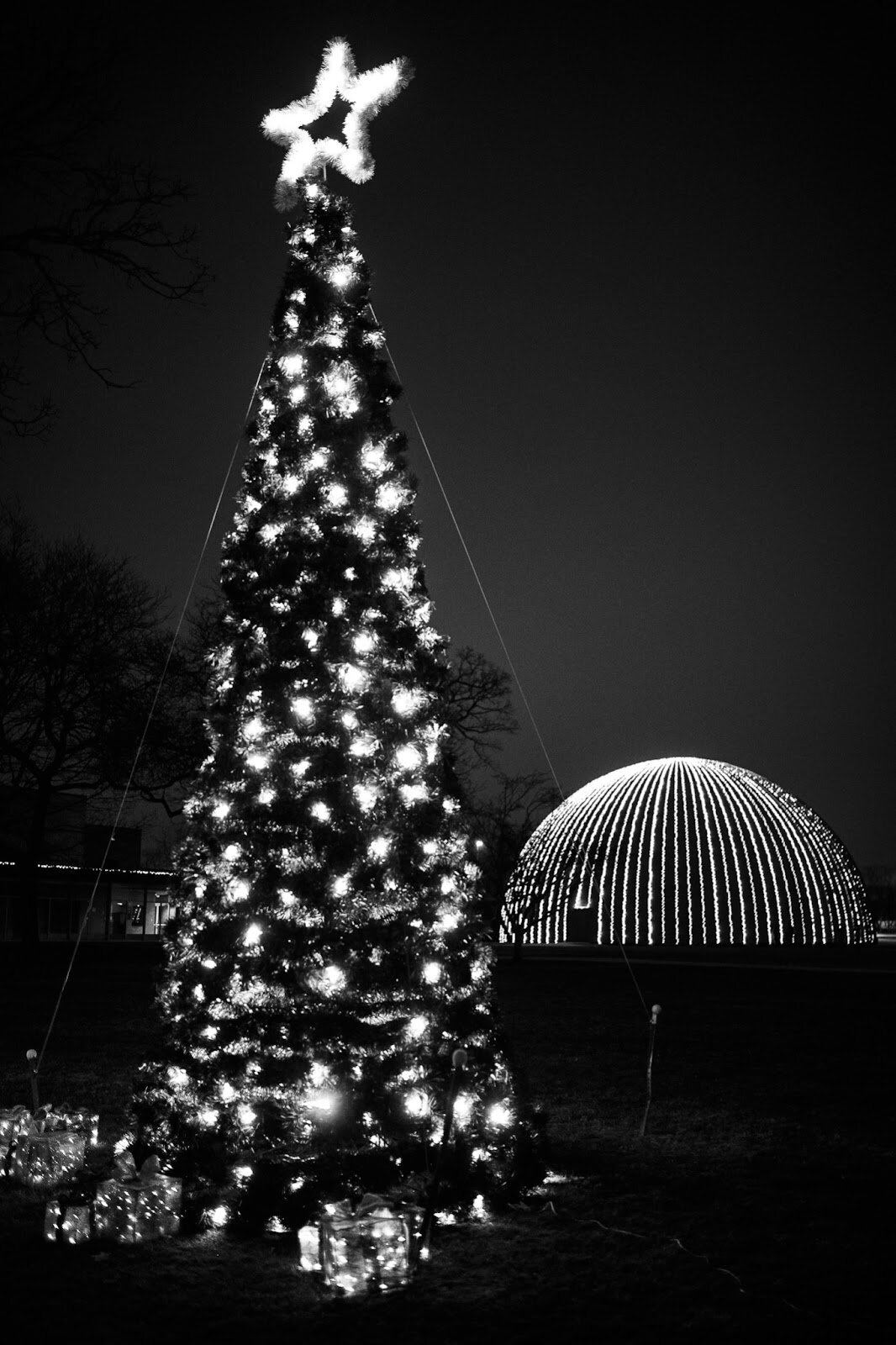 A Christmas Tree twinkles in the night in front of the illuminated Planetarium during the College Cultural area’s 37th Annual Holiday Walk in Flint on Tuesday, Dec. 6, 2022. (Jenifer Veloso | Flintside)
