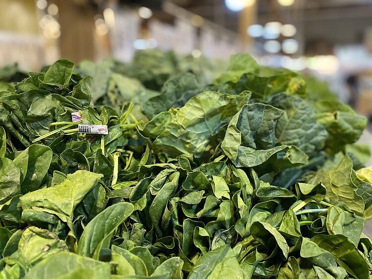 Fresh spinach at a local food pantry.

