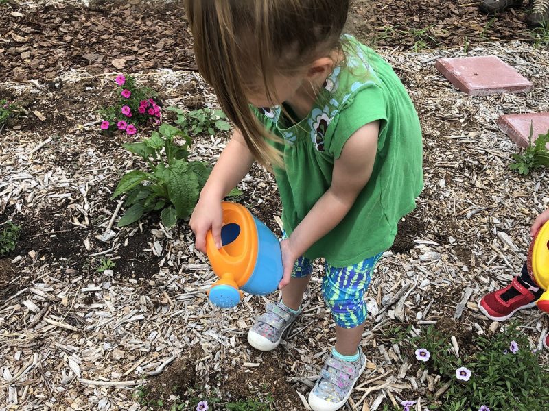 A child in the Child and Family Charities Family Growth Center's community garden.