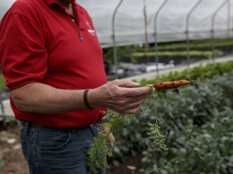 Rev. McDoniel shows a carrot grown on Asbury Farms in the Eastside Franklin Park neighborhood.