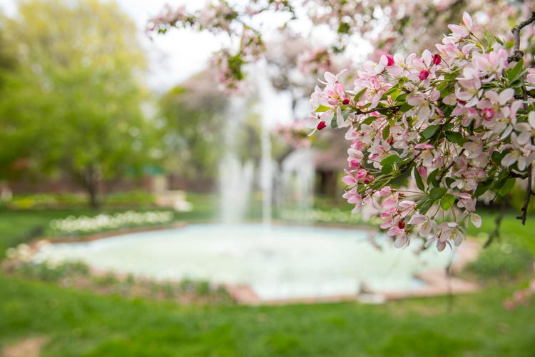 Applewood opens for the 2017 season on May 4 and the gardens feature tons of beautiful blossoms already.