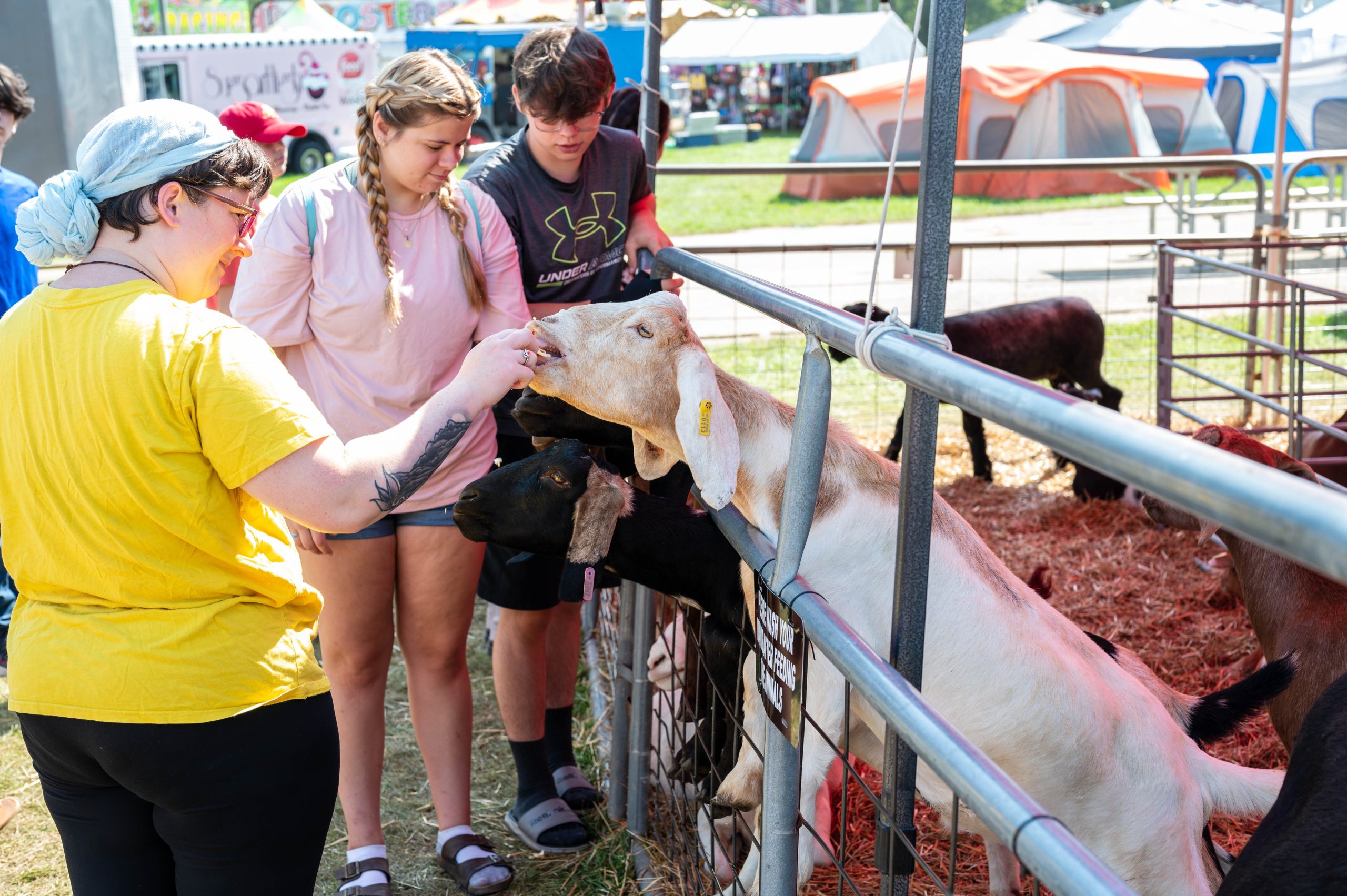 Genesee County Fair 2024. (Ray Gray | Flintside.com)