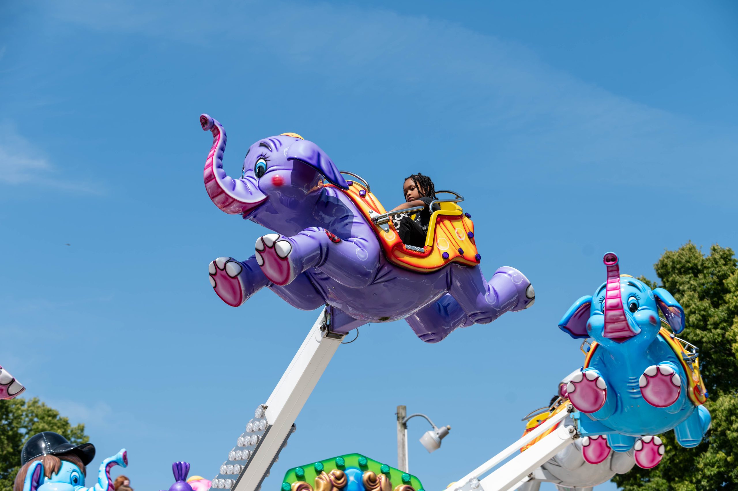 Genesee County Fair 2024. (Ray Gray | Flintside.com)