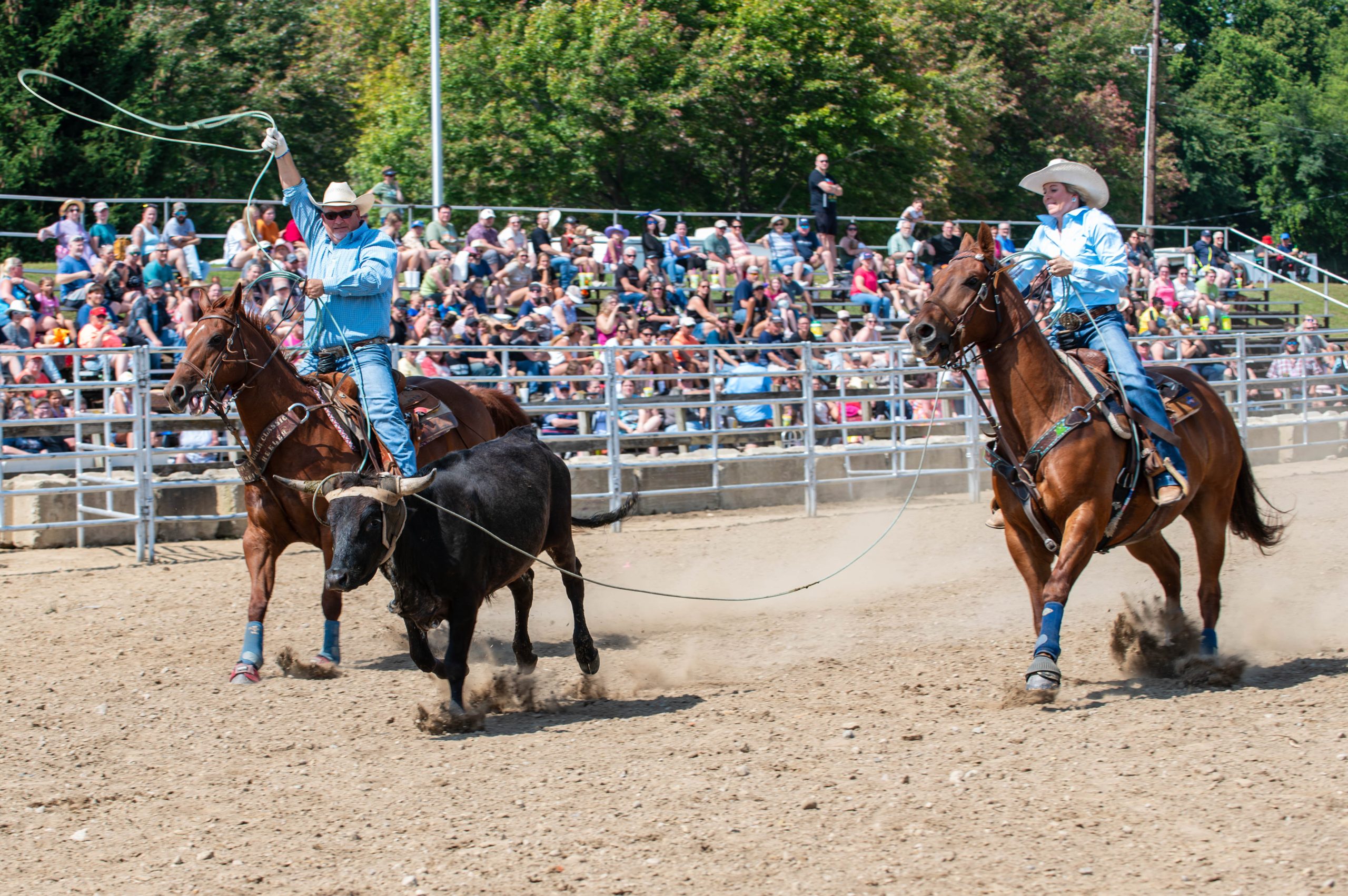 Genesee County Fair 2024. (Ray Gray | Flintside.com)