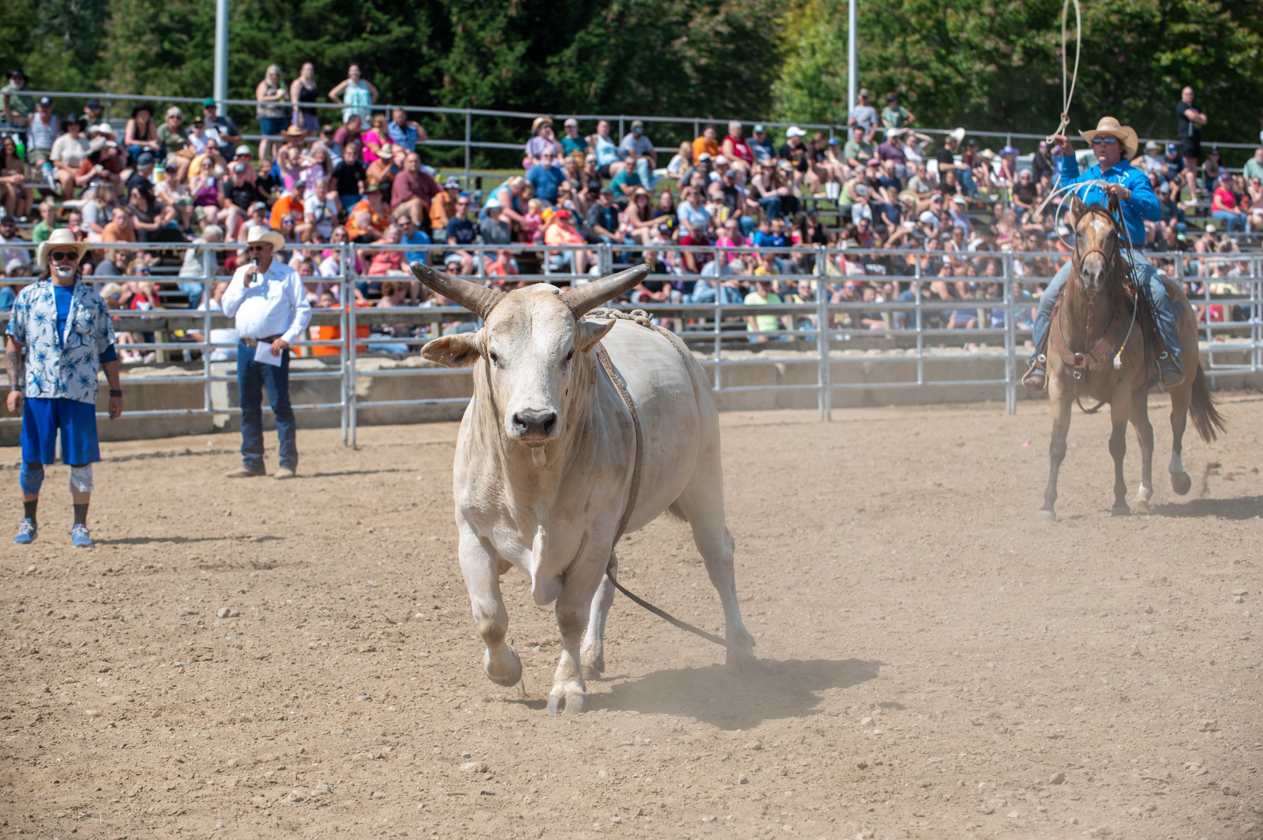 Genesee County Fair 2024. (Ray Gray | Flintside.com)