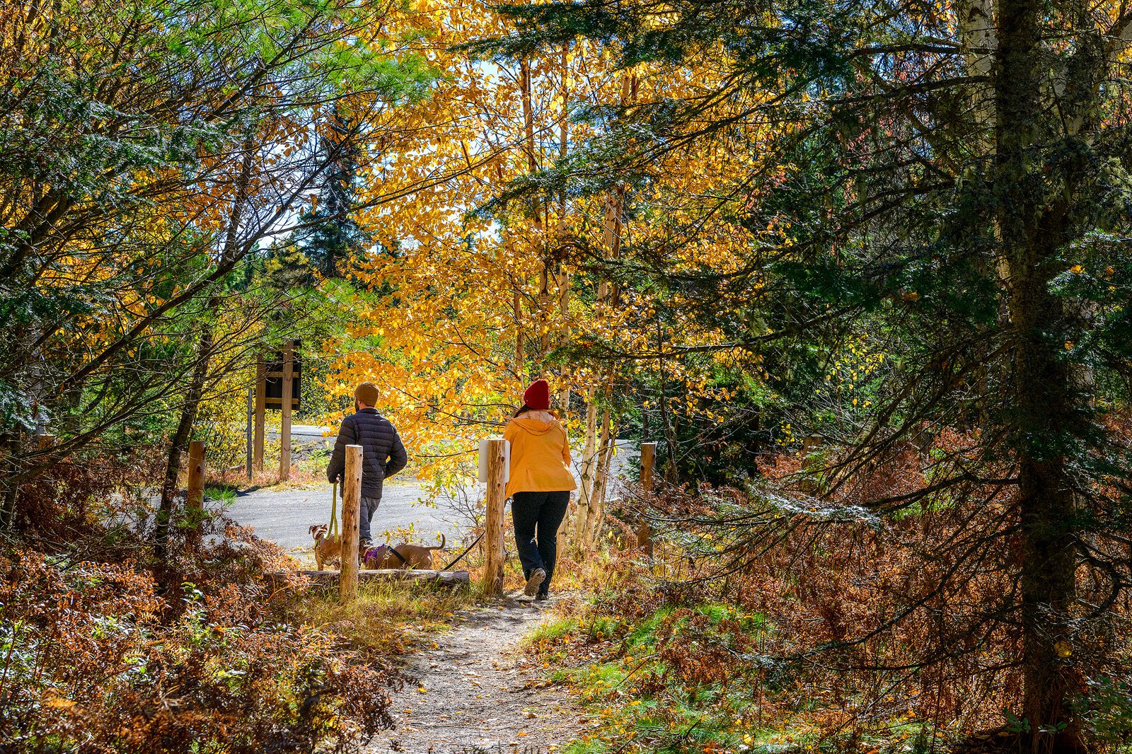 Bete Grise Preserve. Photo by Doug Coombe.