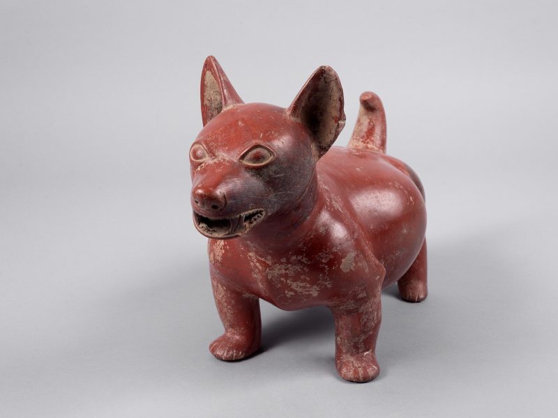 Colima Mexico. Dog, ca. 200 BCE – 200 CE. Ceramic, 10 1/2 x 7 1/2 x 16 in. Gift of The Ted Weiner Family 2022.134