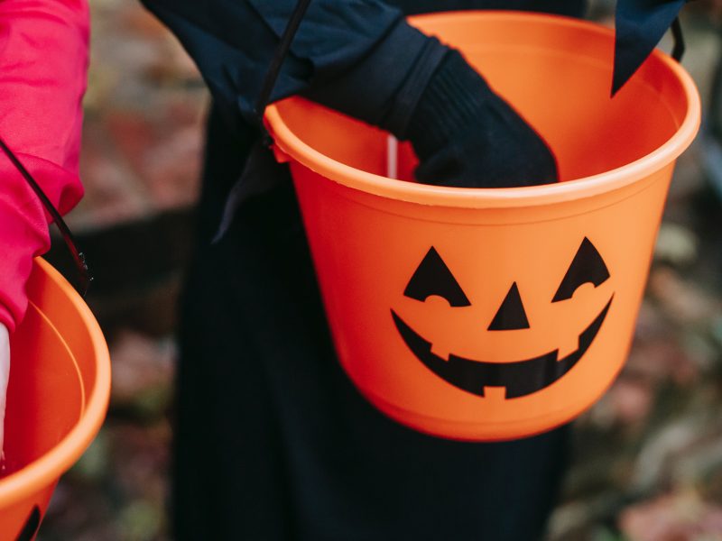 From musical outings to eerily intuitive art tours, if you’re searching for things to do with friends or your little gremlins, Flint has got you covered.