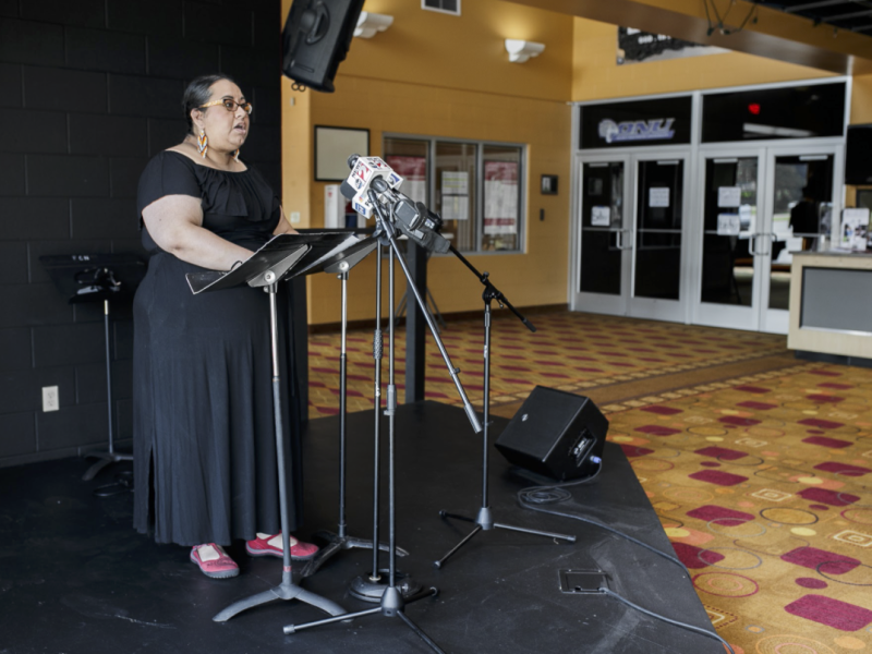 Dr. Lisa M. Lapeyrhouse, an assistant professor and tenured faculty member in the Public Health & Health Sciences department at the University of Michigan-Flint, was one of the speakers during the press conference.