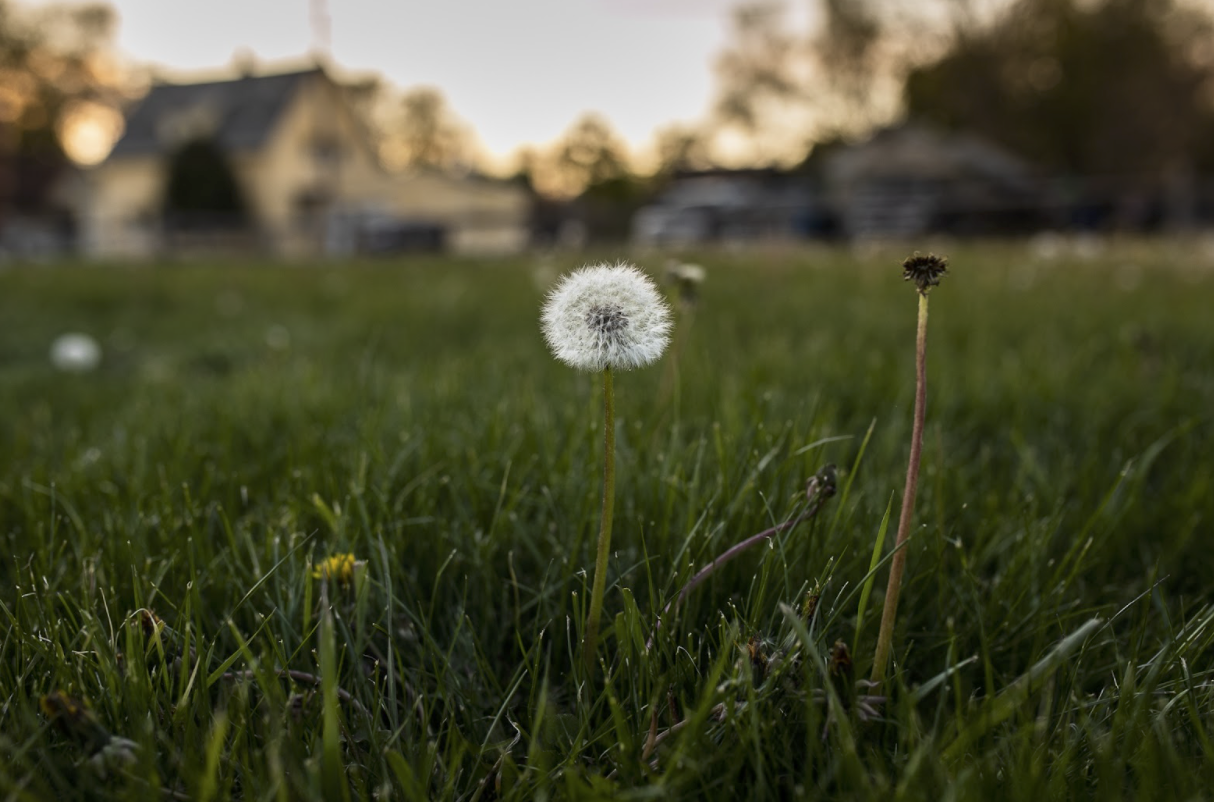 The craft fair will be in the neighborhood's pocket park at Missouri and Franklin avenues.
