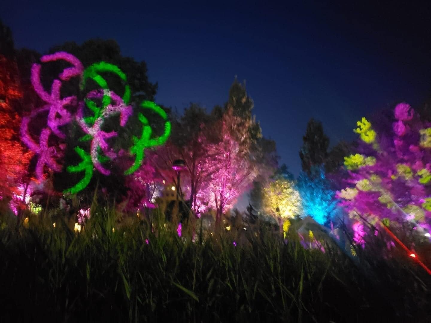 The River Lights concept was so intriguing that all of their RSVP slots were filled before anyone even saw the installation.