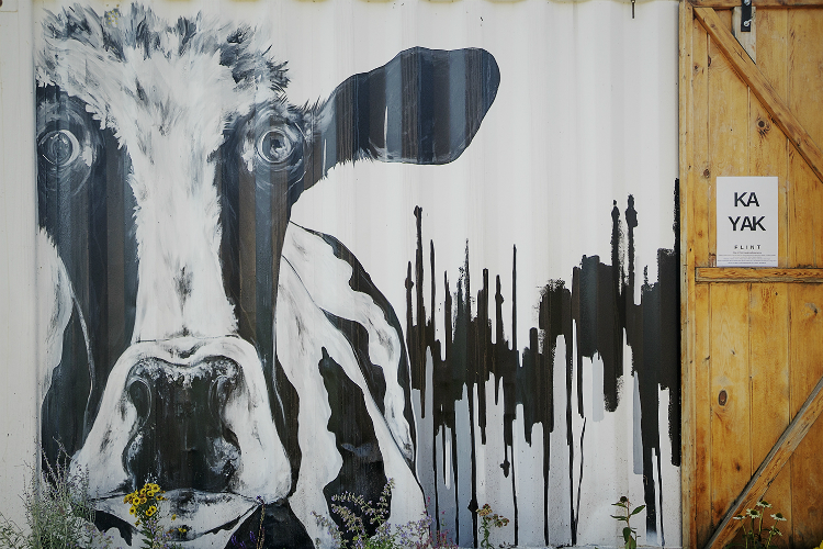 The container is the new home of Kayak Flint, part of the Flint River Watershed Coalition, which rents gear to the public to Kayak down the Flint River.